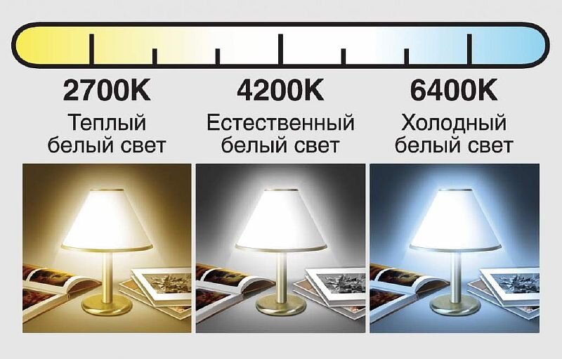 scale_2400.jpeg scale_2400.jpeg